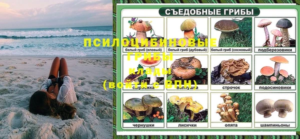 крисы Горняк