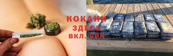 мдпв Горно-Алтайск