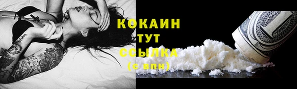 мдпв Горно-Алтайск