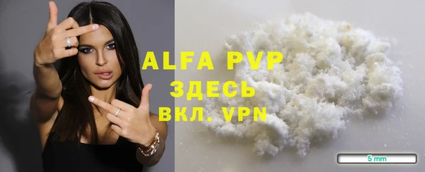 крисы Горняк