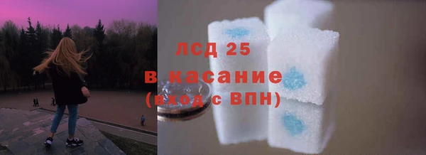 крисы Горняк