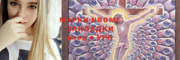 крисы Горняк