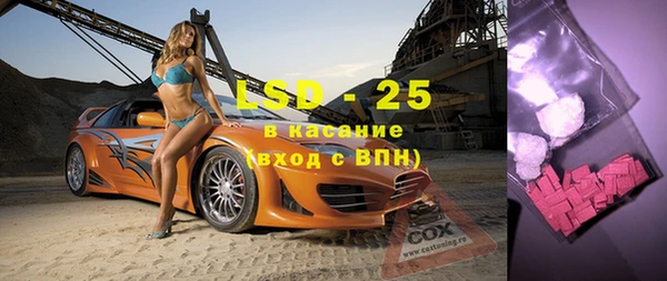 крисы Горняк