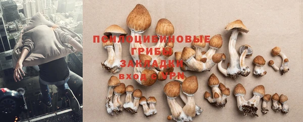 мдпв Горно-Алтайск