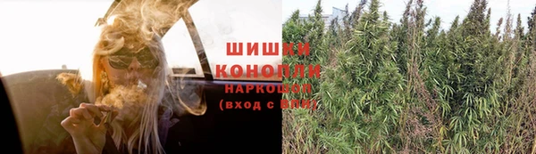 ПСИЛОЦИБИНОВЫЕ ГРИБЫ Горнозаводск